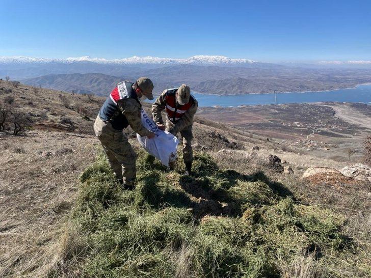 Jandarma yaban keçilerine saman, balıklara drone ile ekmek bıraktı G3