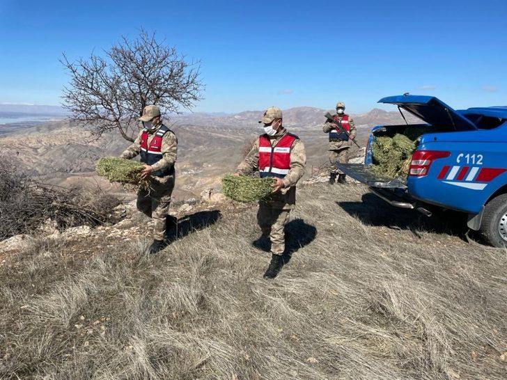 Jandarma yaban keçilerine saman, balıklara drone ile ekmek bıraktı G4