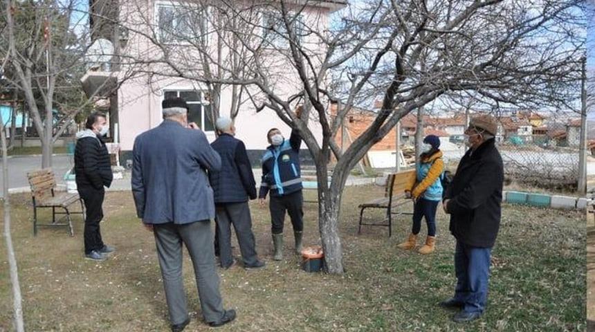 Yetiştiricilere budamada bilgilendirme ve eğitim desteği