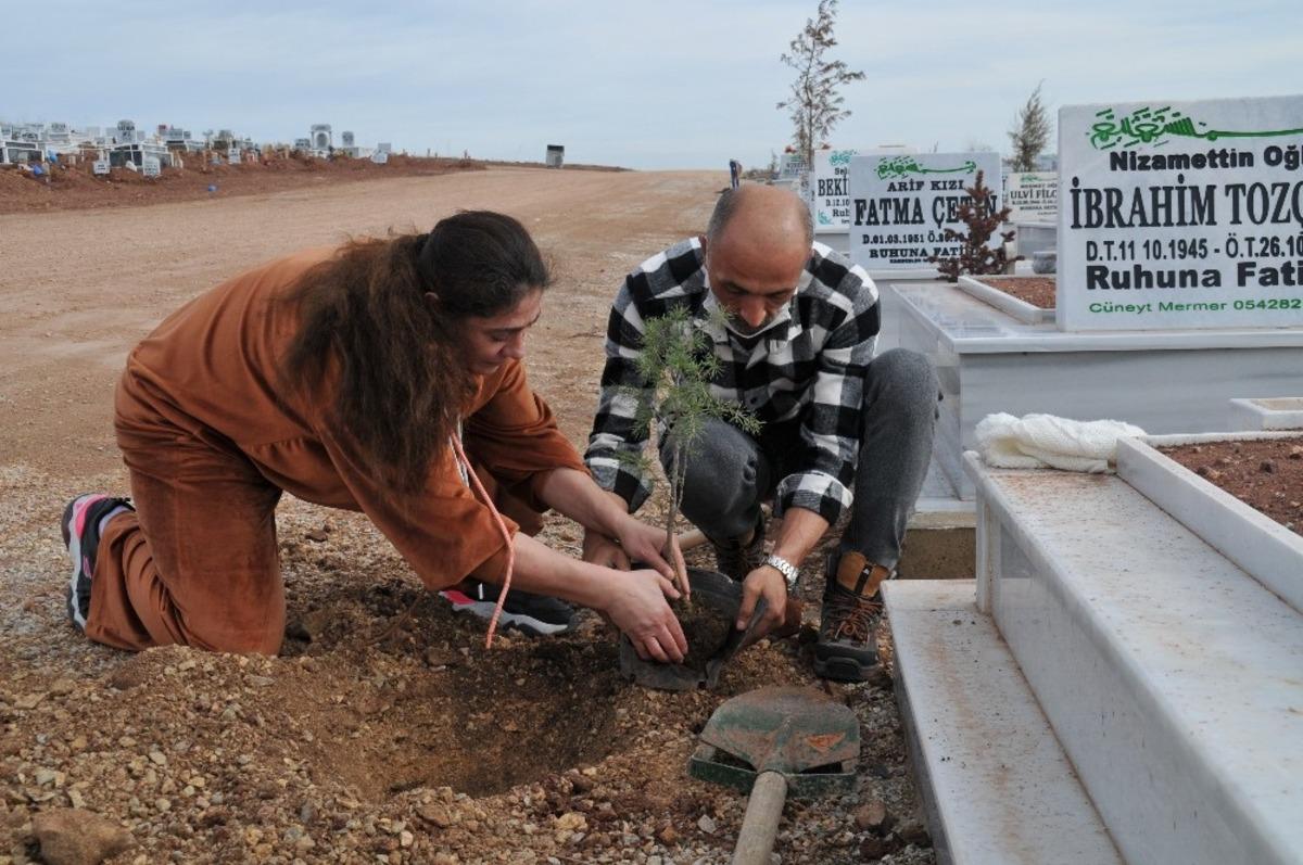 G&ouml;n&uuml;ll&uuml;ler mezarlığı ağa&ccedil;landırıyor