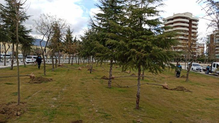 Manisa’da 3 günde tam 450 tane ağaç dikildi G1