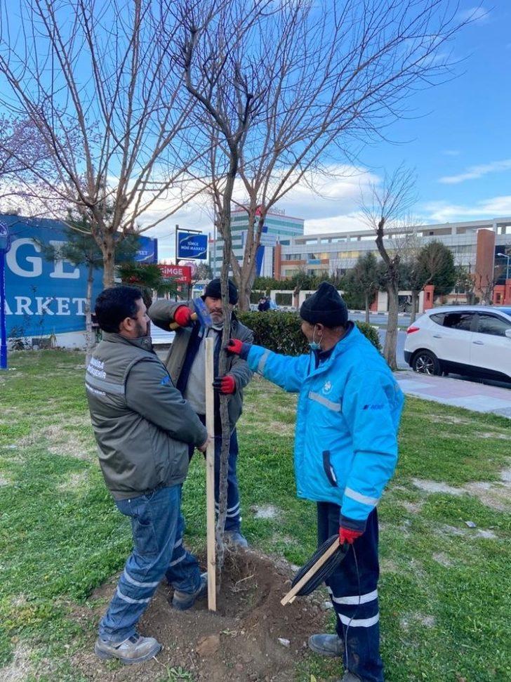 Manisa’da 3 günde tam 450 tane ağaç dikildi G4
