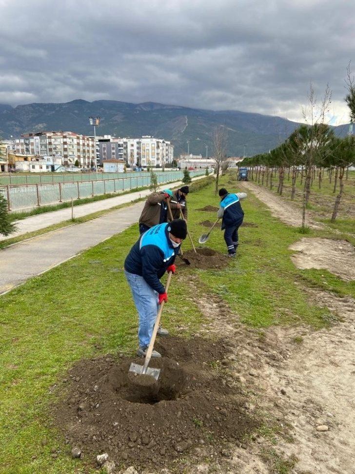 Manisa’da 3 günde tam 450 tane ağaç dikildi G5