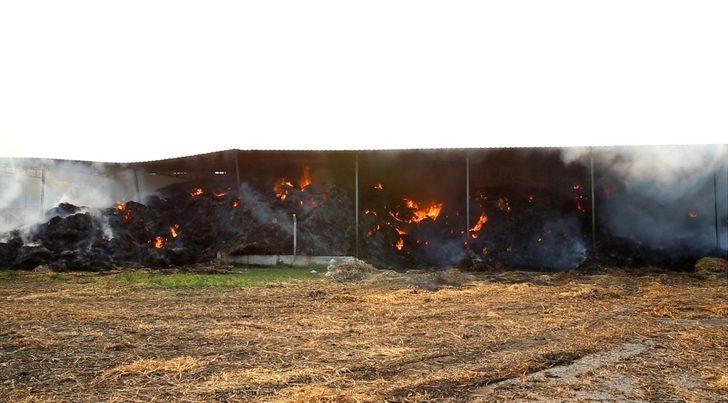 Aydın Büyükşehir Belediyesi bir günde 3 yangına müdahale etti G4