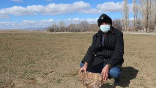 Tarlada bulduğu gök taşını 180 bin dolara sattı