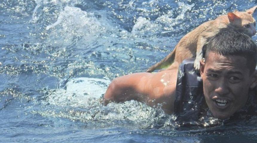 Denizciler yanan gemide mahsur kalan 4 kediyi kurtardı