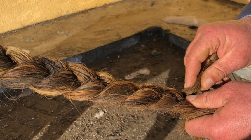 Meğer çok eski bir gelenekmiş! Atının kuyruğunu her gün farklı şekilde bağlıyor