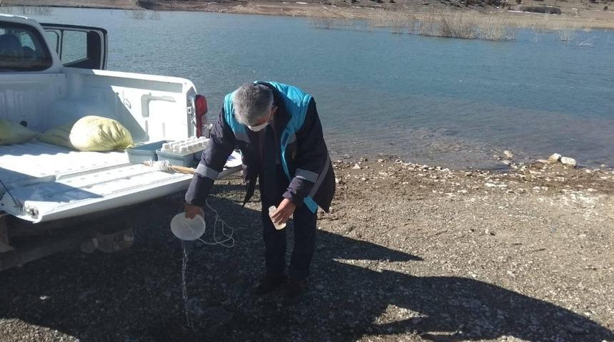 Kureyşler barajında nitrak kirlilik &ouml;l&ccedil;&uuml;m&uuml;