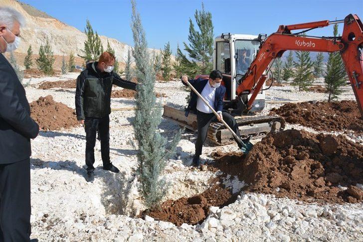 Tarihi Hasankeyf yeşilleniyor G1