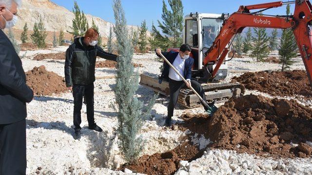 Tarihi Hasankeyf yeşilleniyor