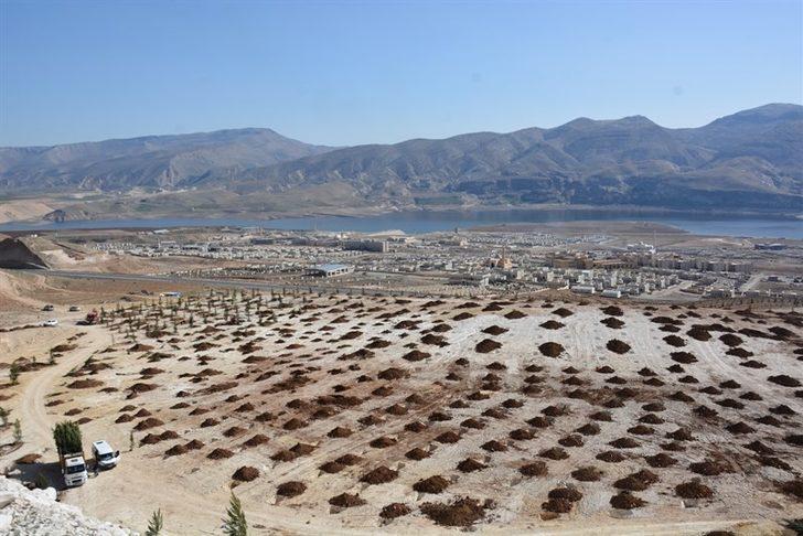 Tarihi Hasankeyf yeşilleniyor G2