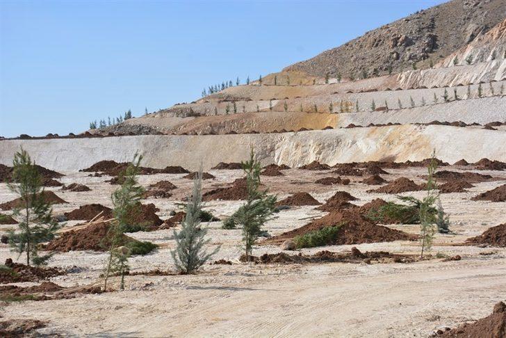 Tarihi Hasankeyf yeşilleniyor G4