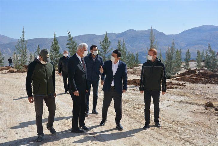 Tarihi Hasankeyf yeşilleniyor G5