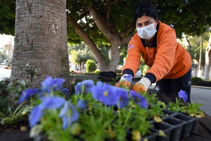 Mersin rengarenk çiçeklerle donatılıyor G1