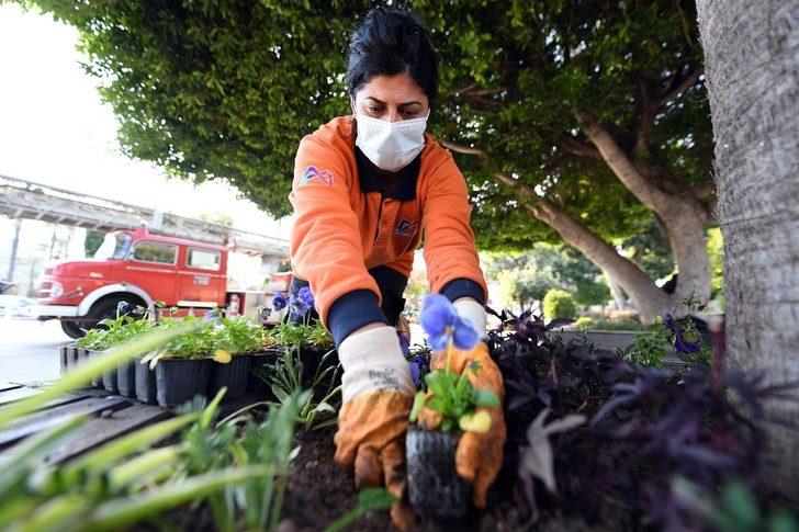 Mersin rengarenk çiçeklerle donatılıyor G2