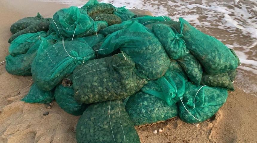 Yunanistan&rsquo;a ka&ccedil;ak g&ouml;t&uuml;r&uuml;lecekti Edirne&rsquo;de ele ge&ccedil;irildi: Tam 1 ton