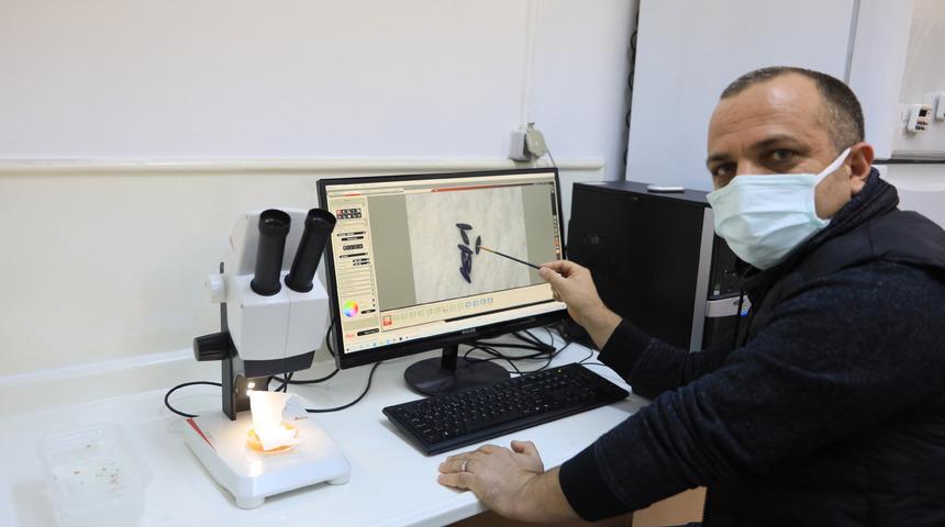 Sivrisinek koronavirüs taşır mı? Herkesin merak ettiği soru yanıt buldu