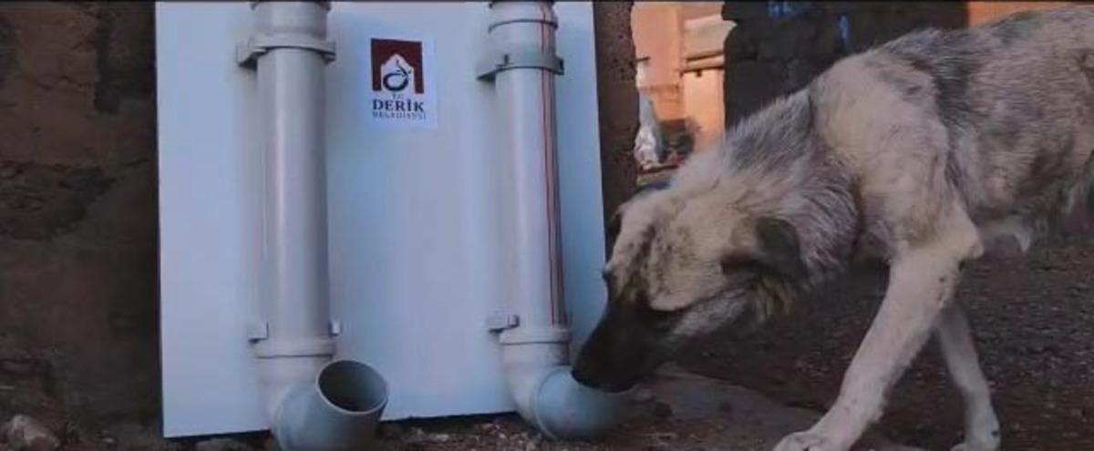 Mardin&rsquo;de &rsquo;Can dostlarımızı yalnız ve a&ccedil; bırakmıyoruz&rsquo; konulu kamu spotu &ccedil;ekildi