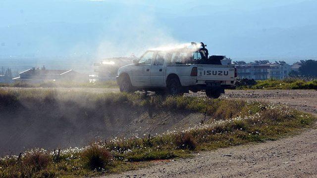 Köşk Belediyesinden larva mücadelesi