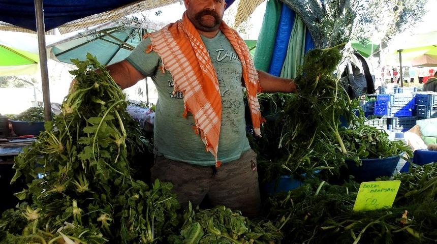 &Ccedil;eşme&rsquo;nin ot uzmanı "Minik Pala"