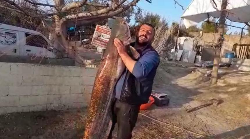 Baraj g&ouml;l&uuml;nde 47 kiloluk yayın balığı yakaladı