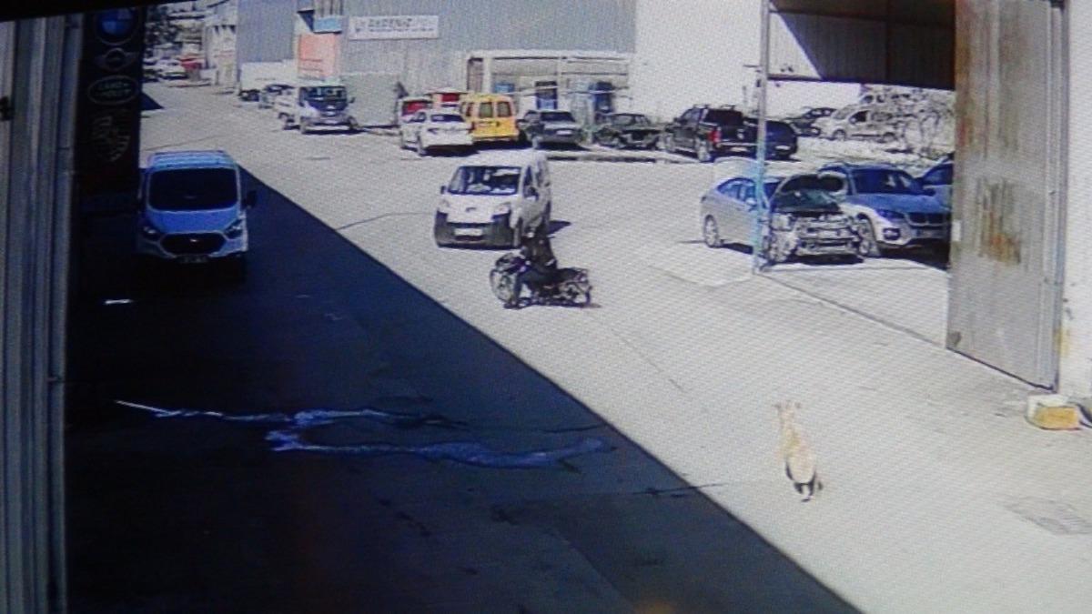 K&ouml;pekten korkan motosikletli otomobile &ccedil;arptı: 1 yaralı