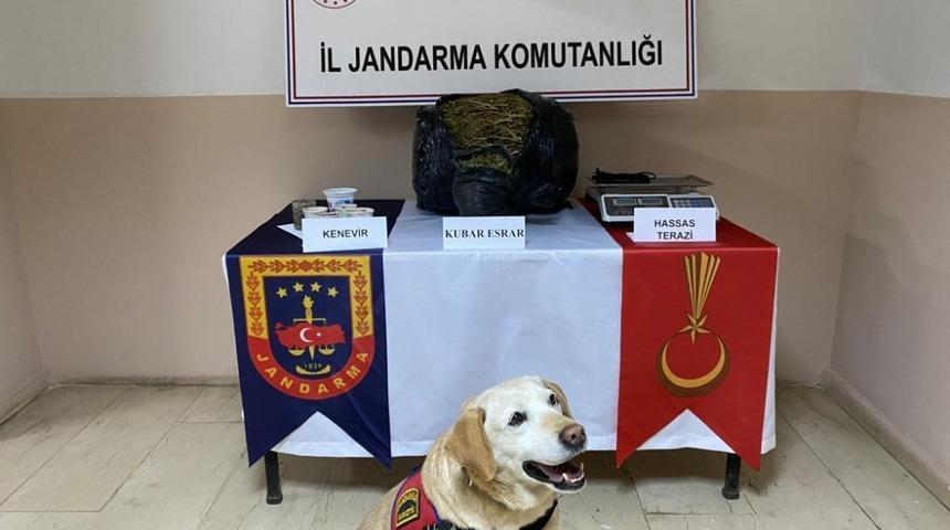 Batman&rsquo;da 11 kilo 250 gram esrar ele ge&ccedil;irildi