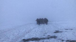 Prof. Dr. Mesut Hakkı Caşin: Pilot elinden geleni yapmış