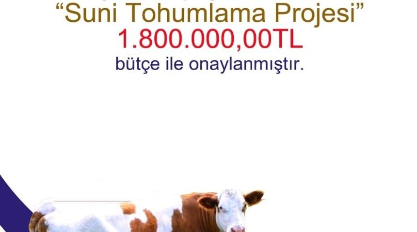 Bayburt&rsquo;ta &ldquo;Suni Tohumlama Projesi&rdquo; i&ccedil;in 1 milyon 800 bin TL&rsquo;lik b&uuml;t&ccedil;e onaylandı