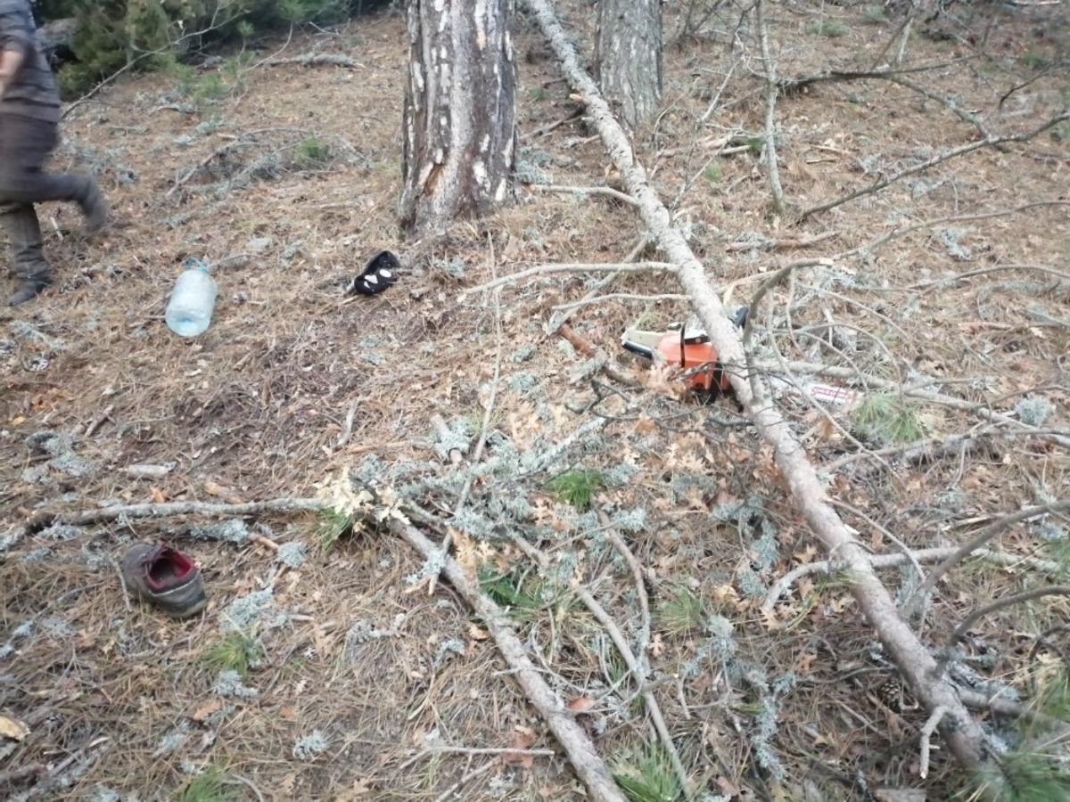 Kestiği ağa&ccedil; &uuml;zerine devrilen adam &ouml;ld&uuml;