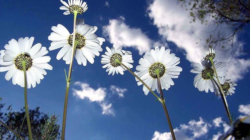 Üçüncü cemre düştü mü? Cemre toprağa ne zaman düşüyor?