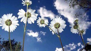 Cemre düşmesi nedir? 2023 cemre ne zaman düşecek? İşte birinci cemre tarihi!