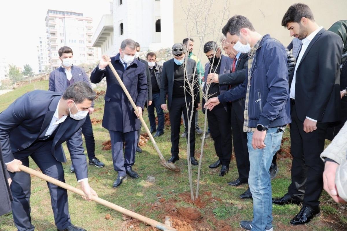 Şanlıurfa&rsquo;da gen&ccedil;ler il&ccedil;enin sembol&uuml; olan nar fidanını dikti