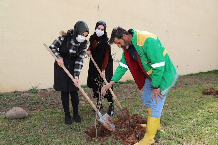 Şanlıurfa’da gençler ilçenin sembolü olan nar fidanını dikti G2