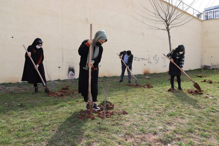 Şanlıurfa’da gençler ilçenin sembolü olan nar fidanını dikti G3