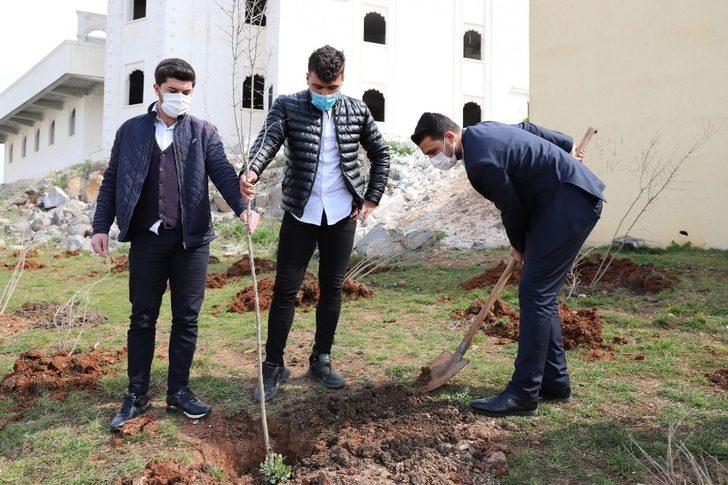 Şanlıurfa’da gençler ilçenin sembolü olan nar fidanını dikti G4