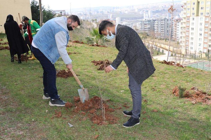 Şanlıurfa’da gençler ilçenin sembolü olan nar fidanını dikti G5