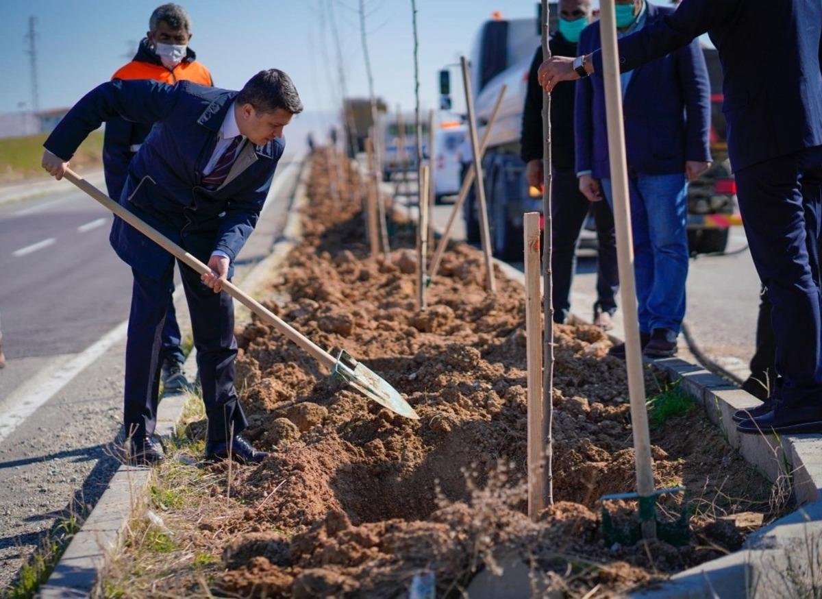 Silvan&rsquo;da ref&uuml;j yeşillendirme &ccedil;alışmaları