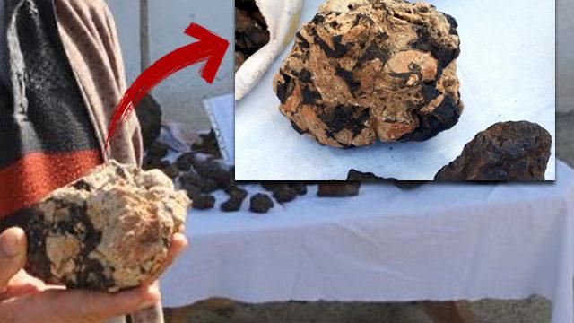 Hayvan otlatırken buldu, 200 bin dolardan satışa çıkardı