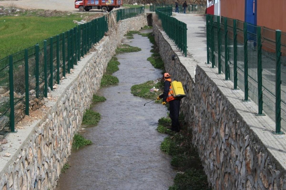 Kahta Belediyesi larva &uuml;reme noktalarını ila&ccedil;lıyor