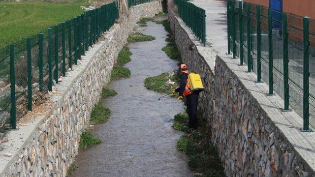 Kahta Belediyesi larva üreme noktalarını ilaçlıyor