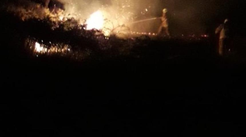 Burhaniye&rsquo;de meydana gelen kıyı yangınını itfaiye s&ouml;nd&uuml;rd&uuml;