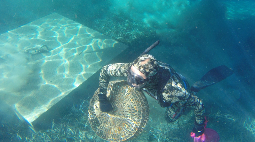 Kızartma tavasından tutun şarap şişesine varana kadar neler var neler!