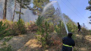 GÜNCELLEME - Kütahya'da çıkan orman yangını kontrol altına alındı