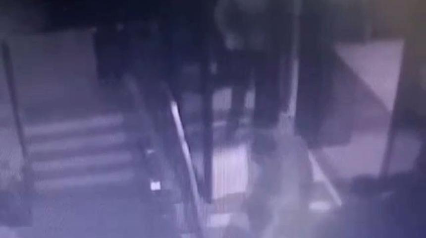 (&Ouml;zel) Pitbullla fabrika bek&ccedil;isine dehşeti yaşattılar