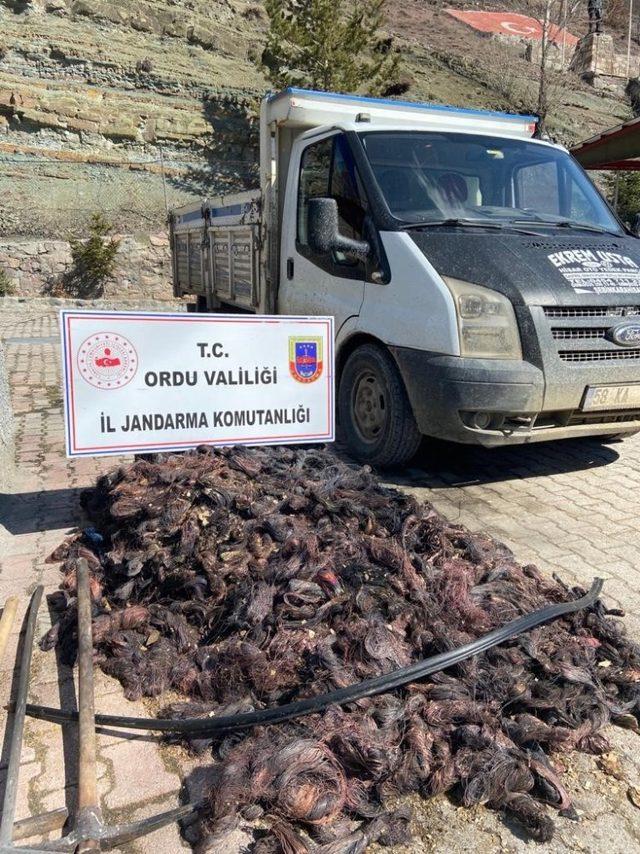 Ordu’da enerji nakil hattı kablosu çalan 4 kişi cezaevinde