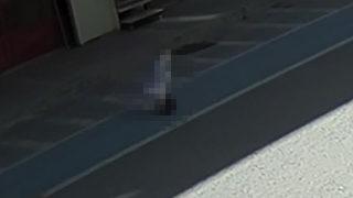 3 yaşındaki çocuğun 4'üncü kattan düşme anı kamerada