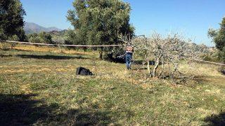 İki çocuk babası, zeytin bahçesinde kendisini astı