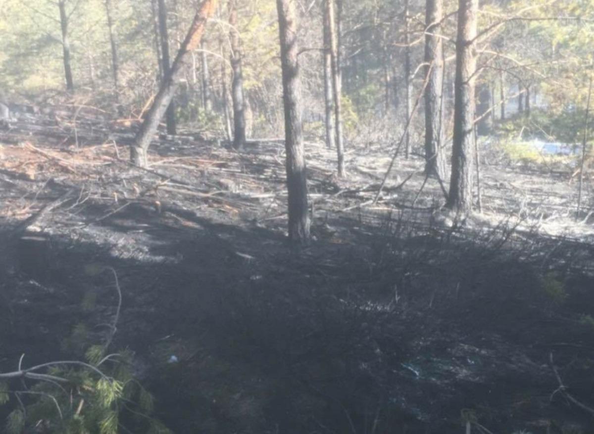 K&ouml;yde &ccedil;ıkan yangında 60 arı kovanı k&uuml;l oldu