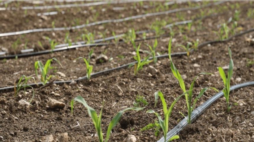 Destek için son gün 30 mart